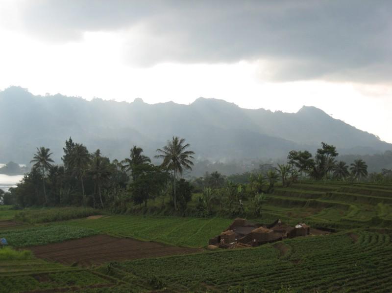 2007 07 13 BALI 036.jpg